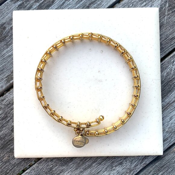 Alex and Ani – Vintage Sixty-Six Chain Link Wrap Bracelet in Russian Gold - Picture 2 of 4